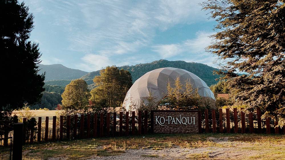 KO PANQUI WEB