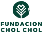 cholchol web cholchol web