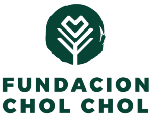 cholchol web